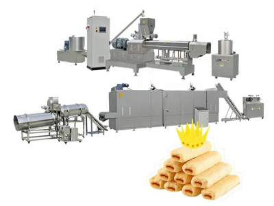 Snack food processing line