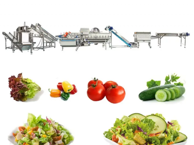 Vegetables salad production line